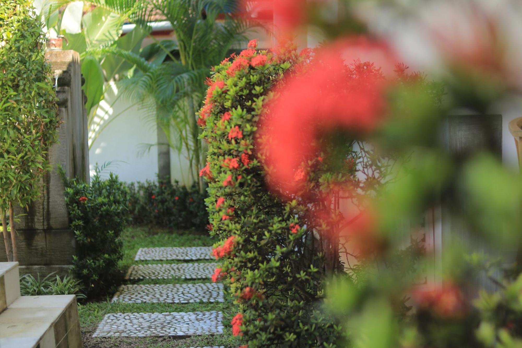 Villa Seruni Lovina المظهر الخارجي الصورة